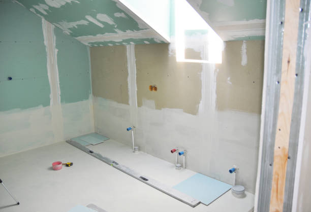 Trusted Carbondale, CO Mold Removal Experts