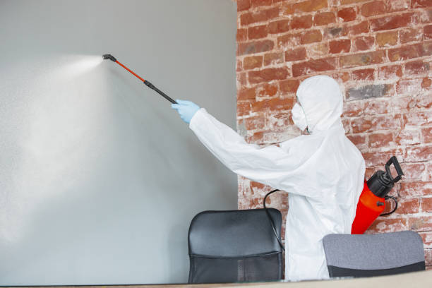 Best Air Quality Testing for Mold Spores  in Carbondale, CO