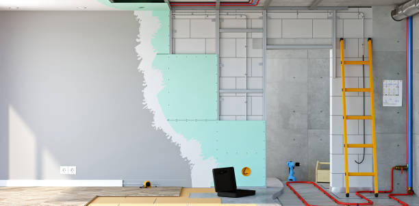 Best Mold Documentation for Insurance Claims  in Carbondale, CO