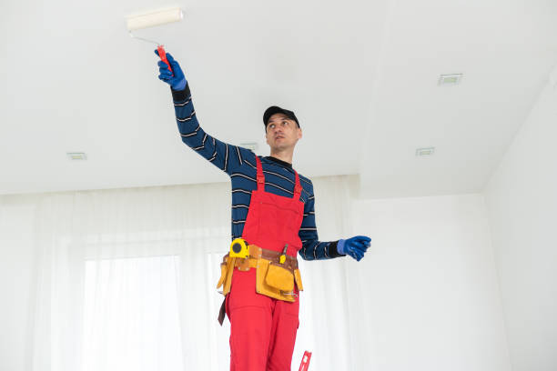 Best Indoor Air Quality Assessment  in Carbondale, CO