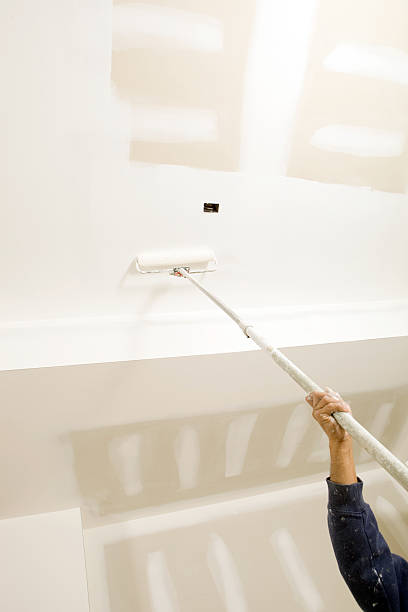 Best Environmental Consulting for Mold Prevention  in Carbondale, CO