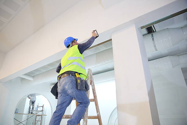Best Basement Mold Removal  in Carbondale, CO