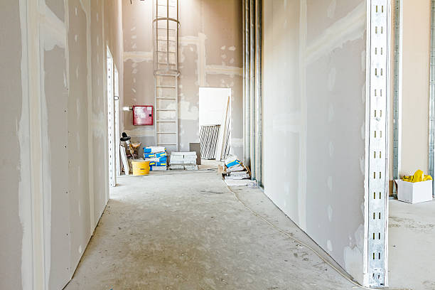 Best Emergency Mold Remediation  in Carbondale, CO